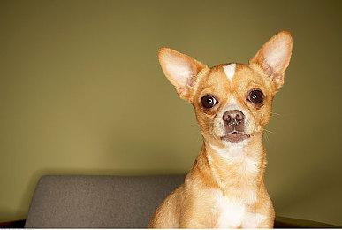 本周Fami通游戏评分出炉 《乐高星球大战：天行者传奇》33分